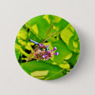 Rainbow coloured Dragonfly  on a purple pink 6 Cm Round Badge