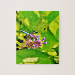 Rainbow coloured Dragonfly  on a purple pink flowe Jigsaw Puzzle
