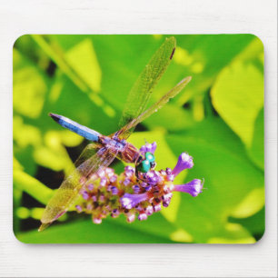 Rainbow coloured Dragonfly on a purple pink flowe Mouse Pad