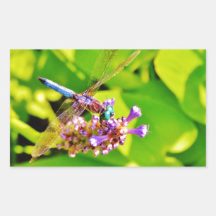 Rainbow coloured Dragonfly  on a purple pink flowe Rectangular Sticker