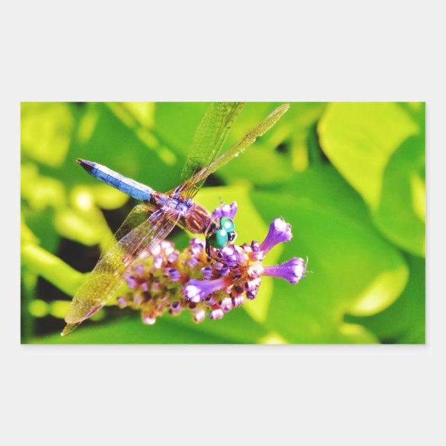 Rainbow coloured Dragonfly  on a purple pink flowe Rectangular Sticker (Front)