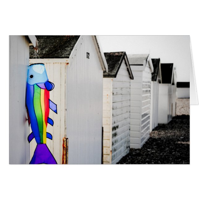 Rainbow Coloured Kite (Front Horizontal)