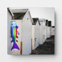 Rainbow Coloured Kite