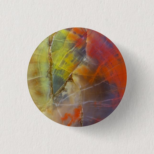 Rainbow Coloured Petrified Wood 3 Cm Round Badge (Front)
