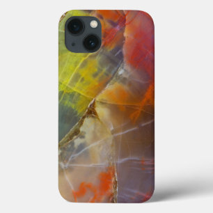 Rainbow Coloured Petrified Wood iPhone 13 Case