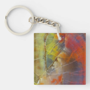 Rainbow Coloured Petrified Wood Key Ring