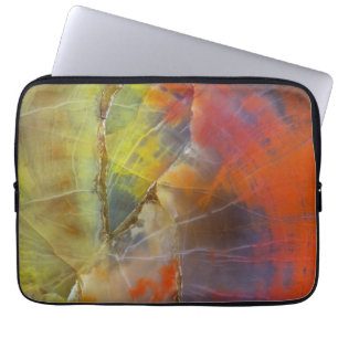 Rainbow Coloured Petrified Wood Laptop Sleeve