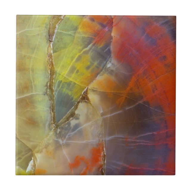 Rainbow Coloured Petrified Wood Tile (Front)