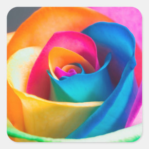 Rainbow Coloured Rose Stickers and Envelope Seals