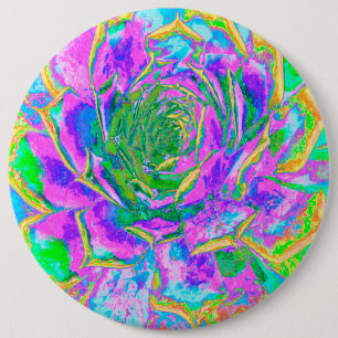 Rainbow Colours Fiesta Succulent Sedum Rosette 6 Cm Round Badge