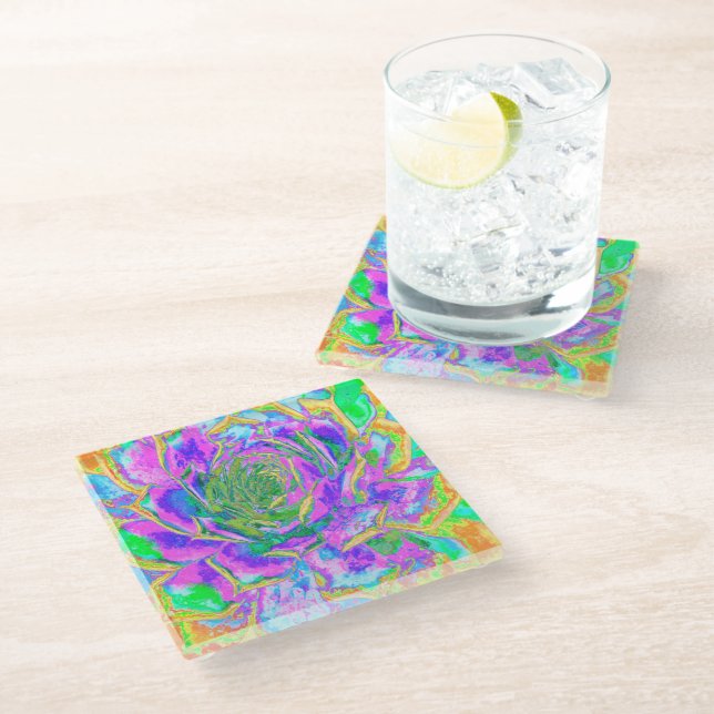 Rainbow Colours Fiesta Succulent Sedum Rosette Glass Coaster (Angled)