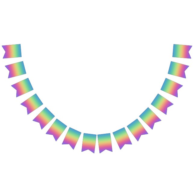 Rainbow Colours Party Bunting Flags (All)