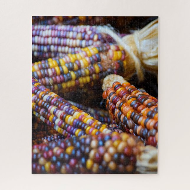 Rainbow Corn Cobs Colours of Fall - 16x20 - 520 pc Jigsaw Puzzle (Vertical)