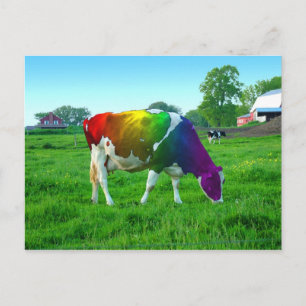 Rainbow Cow Postcard