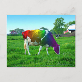 Rainbow Cow Postcard