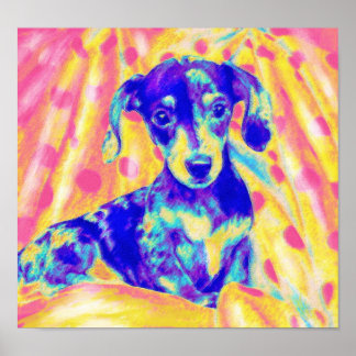 rainbow dachshund poster