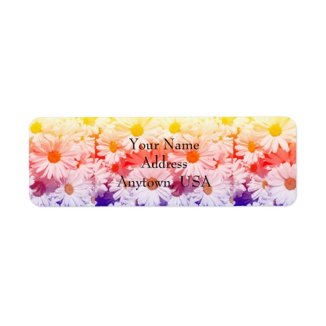 Rainbow Daisies (Front)