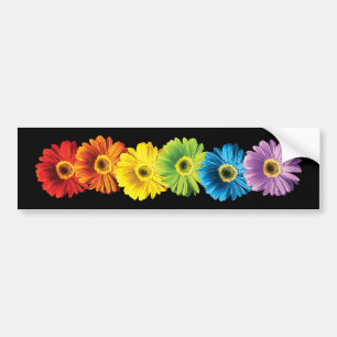 Rainbow Daisies Bumper Sticker
