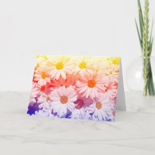 Rainbow Daisies Card
