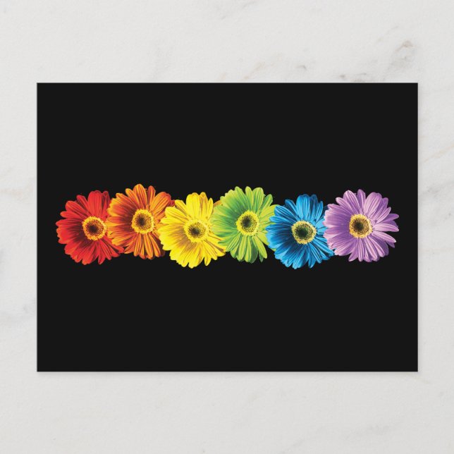 Rainbow Daisies Postcard (Front)