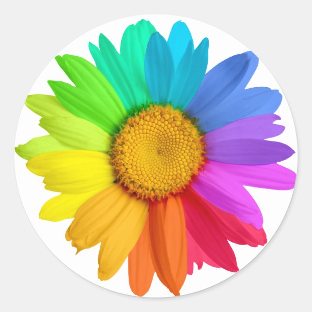 Rainbow Daisy Classic Round Sticker (Front)