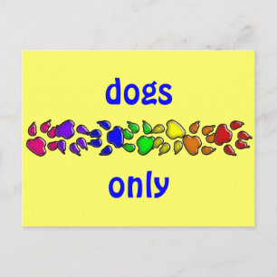 rainbow dog print postcard
