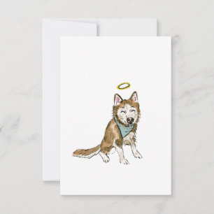 Rainbow Dog Sympathy Card