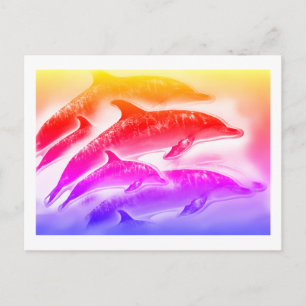 Rainbow dolphins art postcard