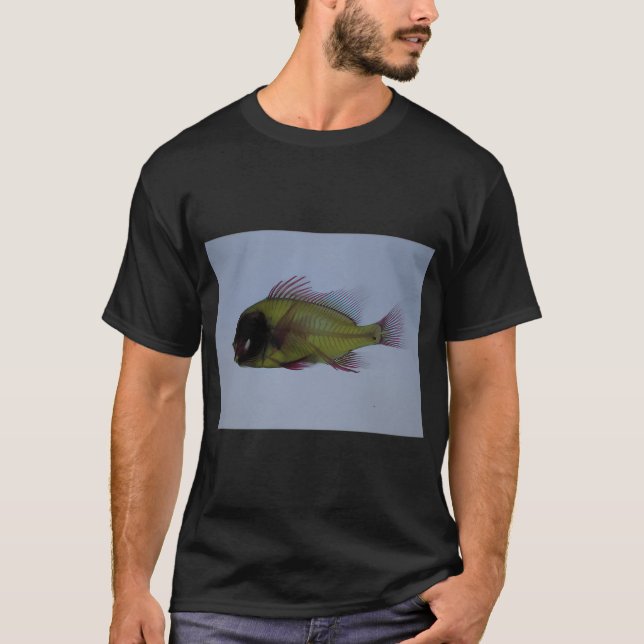 Rainbow dragon eye goldfish T-Shirt (Front)