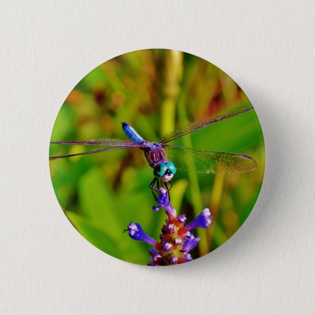 Rainbow Dragonfly and flower 6 Cm Round Badge (Front)