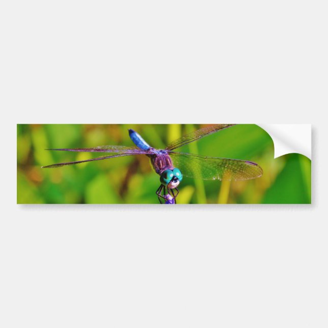 Rainbow Dragonfly and flower Bumper Sticker (Front)
