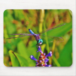 Rainbow Dragonfly and flower Mouse Pad