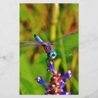 Rainbow Dragonfly and flower Stationery