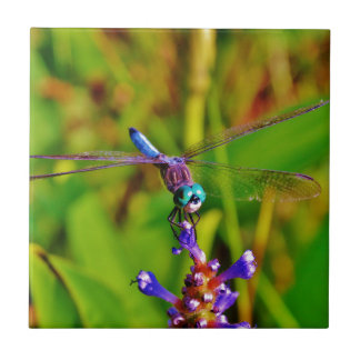Rainbow Dragonfly and flower Tile