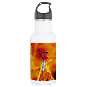 Rainbow Dragonfly on amber and fuschia 532 Ml Water Bottle