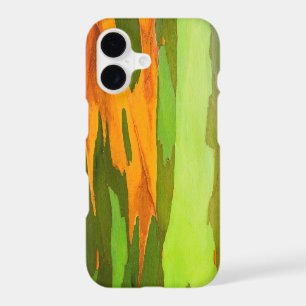 Rainbow Eucalyptus bark, Hawaii