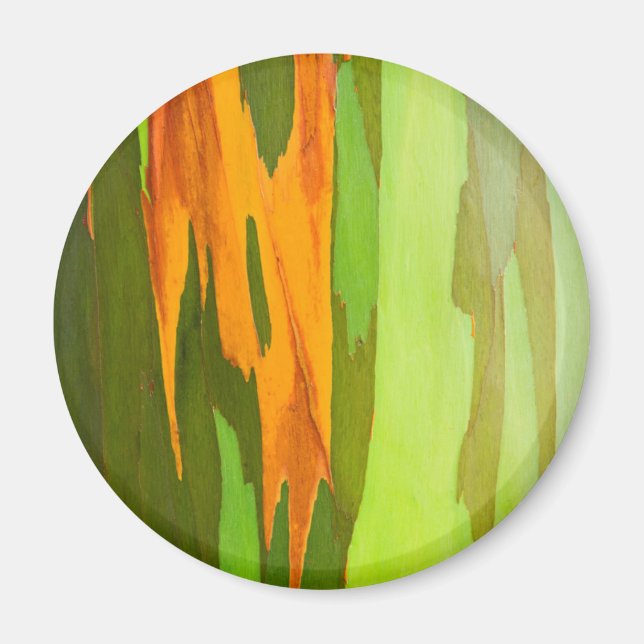 Rainbow Eucalyptus bark, Hawaii Magnet (Front)