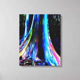 RAINBOW EUCALYPTUS TREE canvas Print