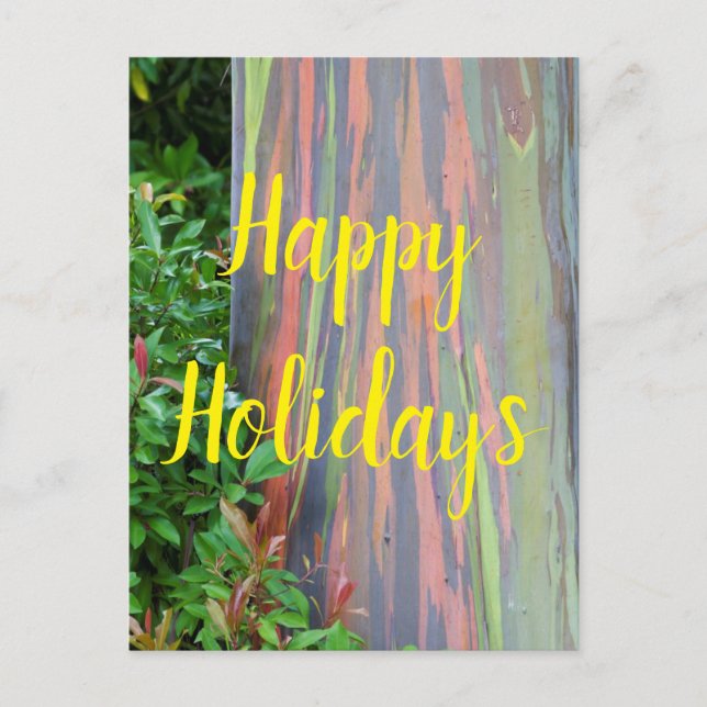 Rainbow Eucalyptus Tree Happy Holidays Postcard (Front)