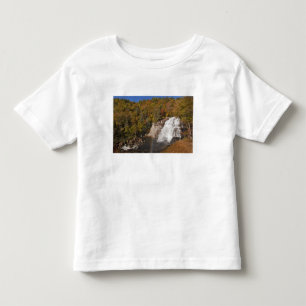 Rainbow Falls in Gorges State Park in North Toddler T-Shirt