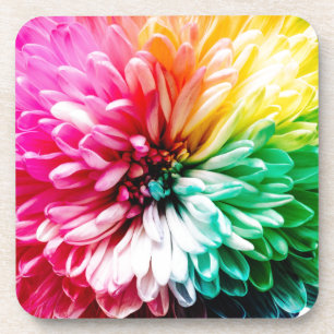 rainbow flower coaster