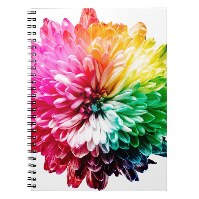 rainbow flower notebook (Front)