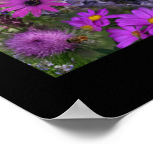 Rainbow Flower Photo Collage Poster