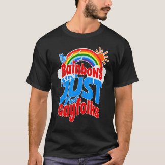 Rainbow For Everyone Pride 21st Century Lgbt Qia & T-Shirt