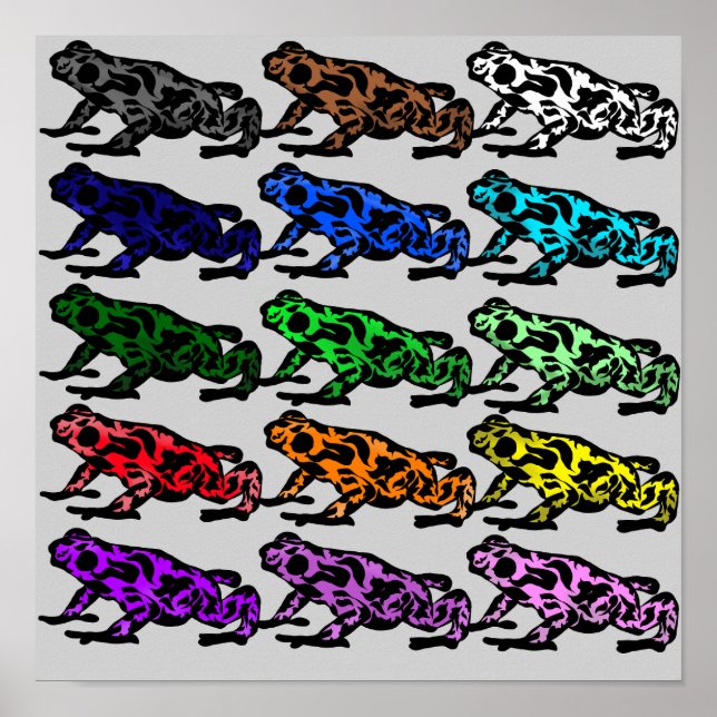 Rainbow Frog Chart (Front)