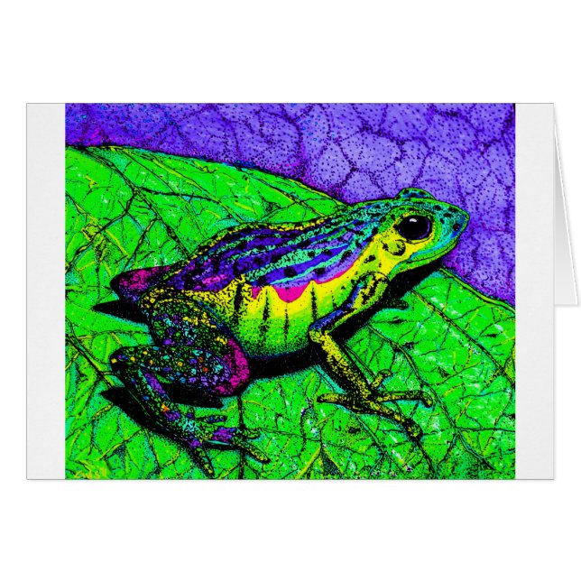 Rainbow Frogs (Front Horizontal)