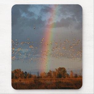 Rainbow & Geese Mousepad