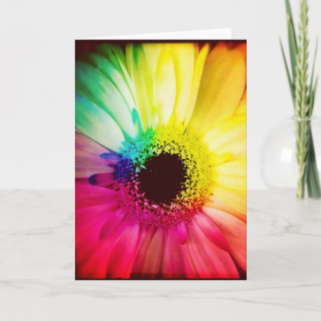 Rainbow Gerbera Daisy Blank Greeting Card (Front)
