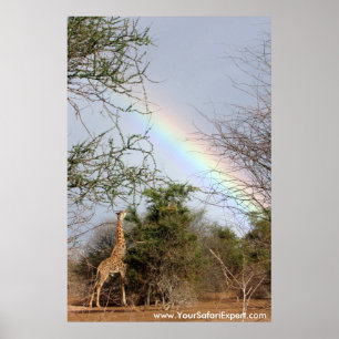 Rainbow & Giraffe Poster / Print (up to 35x52 in.)