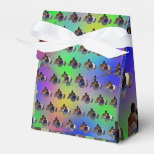 Rainbow Guinea Pigs Pattern, Birthday Favour Box